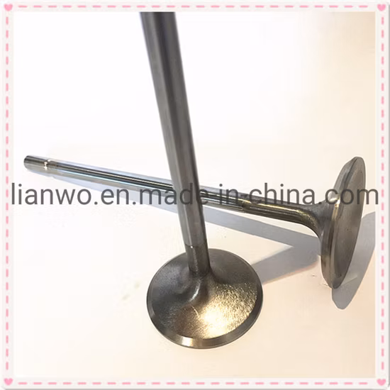 Wheel Loader Diesel Spare Part for Deutz Wechai Zh4100 Zh4102 Zh4105 Wp4 Wp5 Wp6 Wp7 Wp7 Intake Exhaust Engine Valve Guide Seats