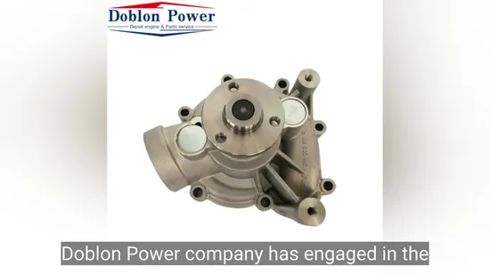 Deutz Engine Parts Coolant Pump (04259547) for (TCD2013/BFM1013) Engine