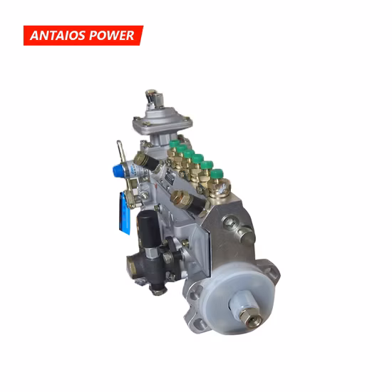 Deutz Diesel F6l912 Engine Part Fuel Injection Pump