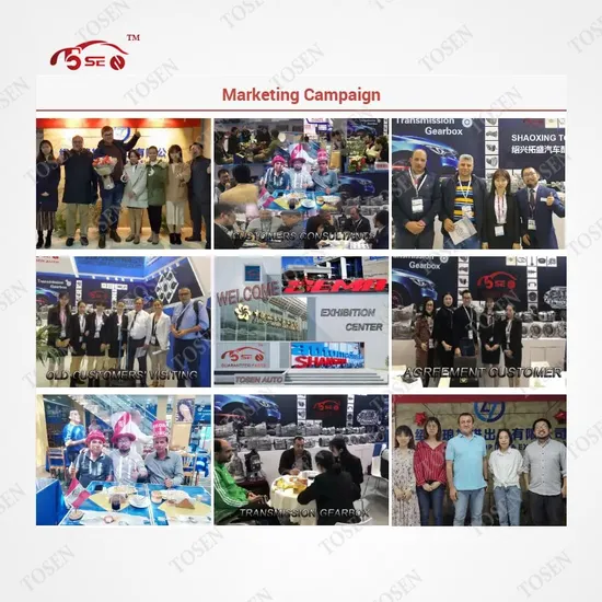 China Factory Sales Best Quality Synchonizer Cone for Zf Trucks Parts 1316304156