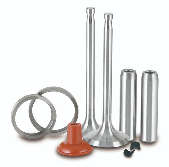 Water Cooled Diesel Engine Parts In/Ex Valve